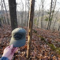 Secluded Ozarks Hunting And Rec Tract For Sale images 3