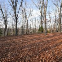 Secluded Ozarks Hunting And Rec Tract For Sale images 5