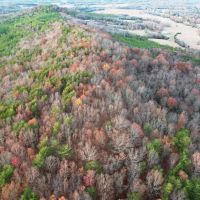 Colbert County Alabama 99 Acre Tract with Beautiful Scenic View