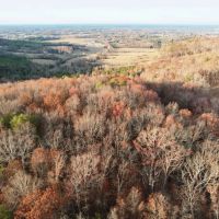 Colbert County Alabama 99 Acre Tract with Beautiful Scenic View images 2