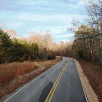 Colbert County Alabama 99 Acre Tract with Beautiful Scenic View images 5