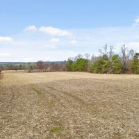 Acreage for Dream Home to Sportsman s Retreat images 5