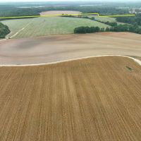 200 Acres in Houston County