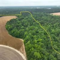200 Acres in Houston County images 3