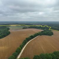 200 Acres in Houston County images 4