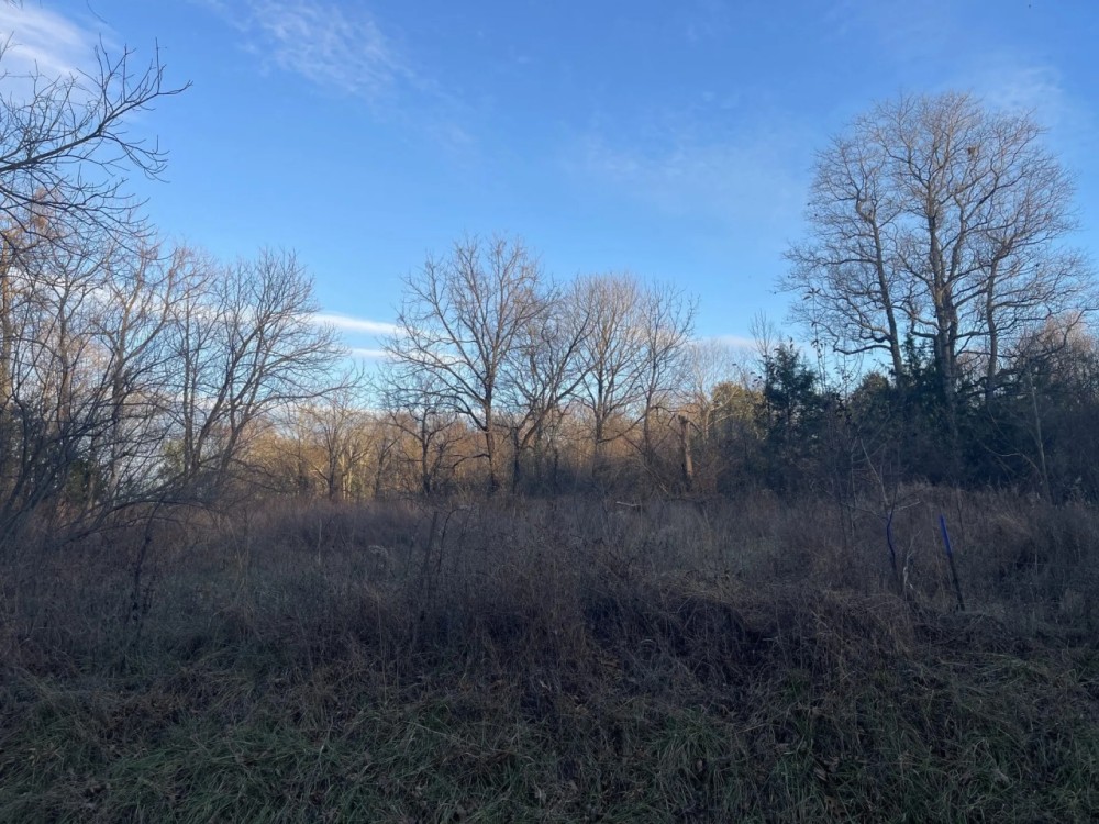 000 Raum Road Golconda IL 62938 Hunting Land for Sale