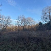 000 Raum Road Golconda IL 62938