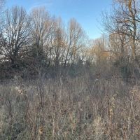 000 Raum Road Golconda IL 62938 images 5