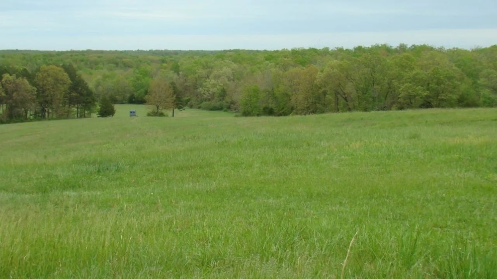200 Ac 3 Bed 1 Bath Home Joins Conservation Drilled Well Texas County featured image