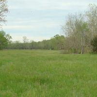 200 Ac 3 Bed 1 Bath Home Joins Conservation Drilled Well Texas County images 2