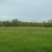 200 Ac 3 Bed 1 Bath Home Joins Conservation Drilled Well Texas County images 4