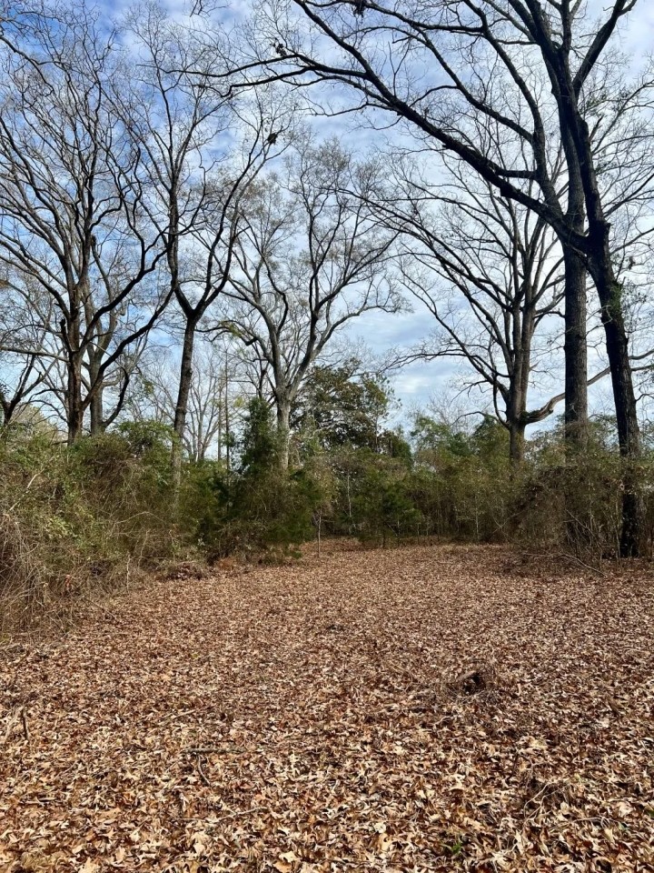 21-012-county-line featured image