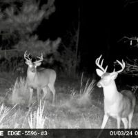21-012-county-line images 2