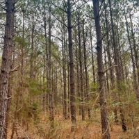 21-012-county-line images 4