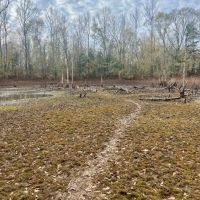 21-012-county-line images 5