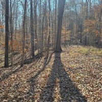 136 Acres in Carroll County MS images 2
