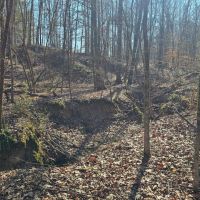 136 Acres in Carroll County MS images 5