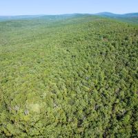 237 Acre Recreational Hunting Tract with Private Deeded Access images 4