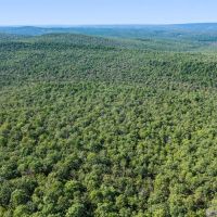 237 Acre Recreational Hunting Tract with Private Deeded Access images 5