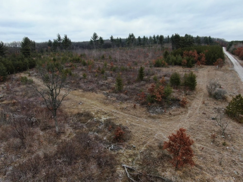 26 - acres of Waushara Country Hunting Land for Sale featured image
