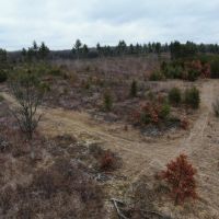 26 - acres of Waushara Country Hunting Land for Sale