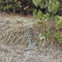 26 - acres of Waushara Country Hunting Land for Sale images 4