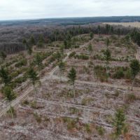 26 - acres of Waushara Country Hunting Land for Sale images 5