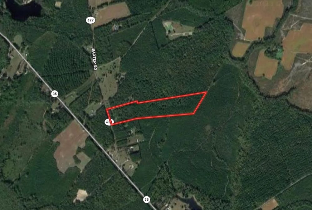 22 acres of Timber Land for Sale in Sussex County VA featured image