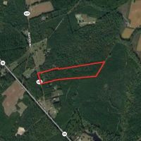 22 acres of Timber Land for Sale in Sussex County VA