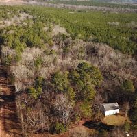 22 acres of Timber Land for Sale in Sussex County VA images 2
