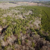 22 acres of Timber Land for Sale in Sussex County VA images 3