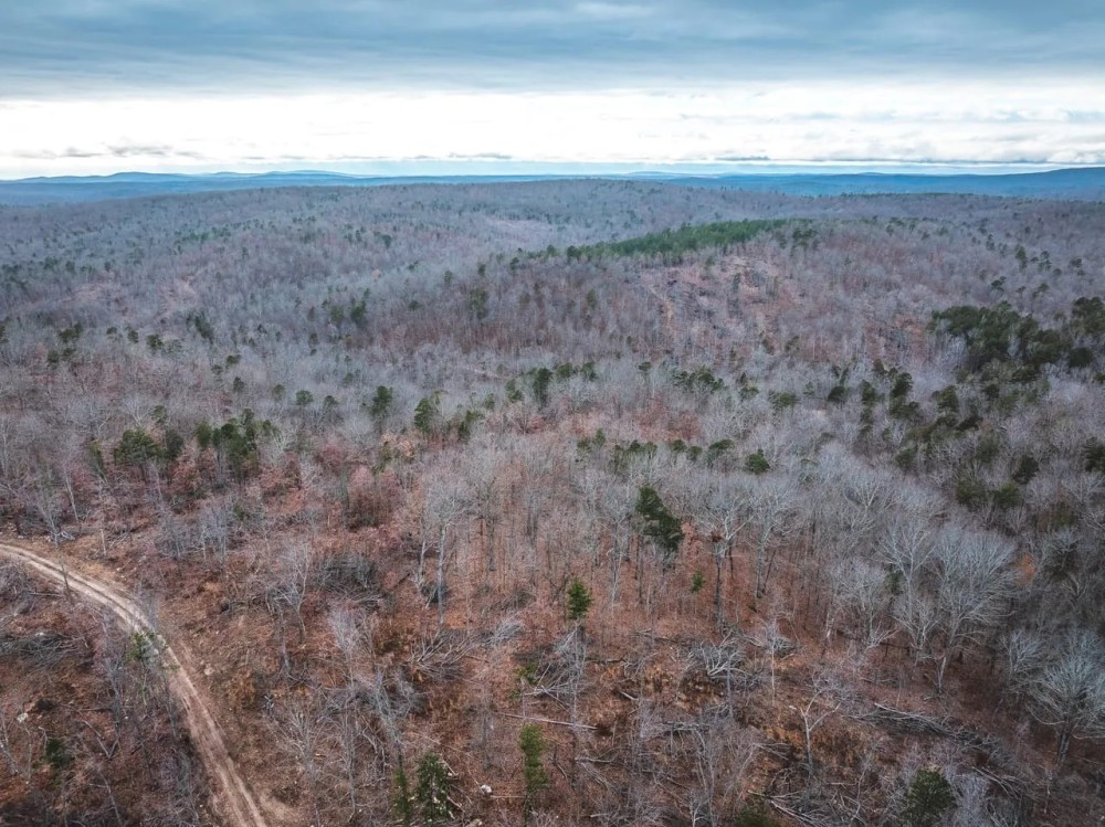 County Road 410 Track 32 featured image