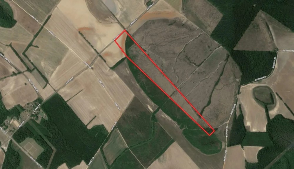 40.06 acres of Recreational and Residential Land for Sale in Marlboro County SC featured image