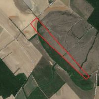 40.06 acres of Recreational and Residential Land for Sale in Marlboro County SC