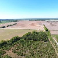 40.06 acres of Recreational and Residential Land for Sale in Marlboro County SC images 2