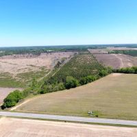 40.06 acres of Recreational and Residential Land for Sale in Marlboro County SC images 4