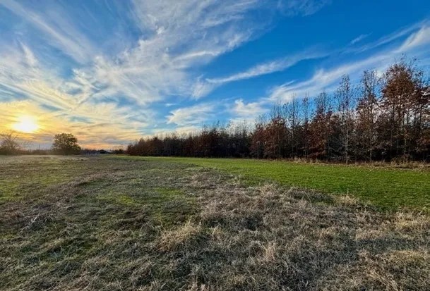 383 Acres in Carroll County in Greenwood MS featured image