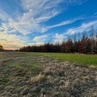 383 Acres in Carroll County in Greenwood MS