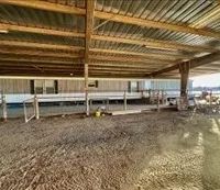 383 Acres in Carroll County in Greenwood MS images 5