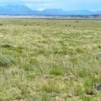 18 Majors Ranch Phs 1 Walsenburg CO 81089 images 3