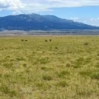 18 Majors Ranch Phs 1 Walsenburg CO 81089 images 4