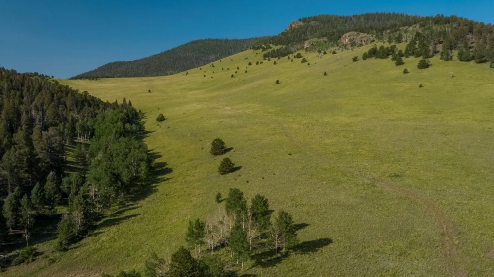 Saddle Mountain Ranch Guffey Colorado featured image