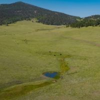 Saddle Mountain Ranch Guffey Colorado images 5