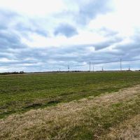 280 Stuttgart Rice Field images 2
