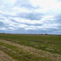 280 Stuttgart Rice Field images 3