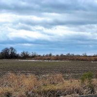 280 Stuttgart Rice Field images 5
