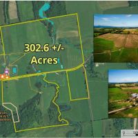 1450 Middle Road - Bridport images 2