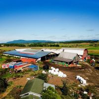 1450 Middle Road - Bridport images 4