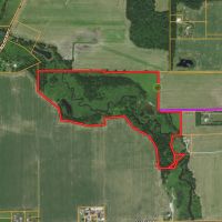64 - ACRES LAPORTE COUNTY HUNTING RECREATIONAL LAND FOR SALE images 2