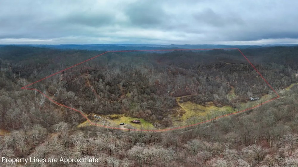 Hysell Run - 72 acres - Meigs County featured image